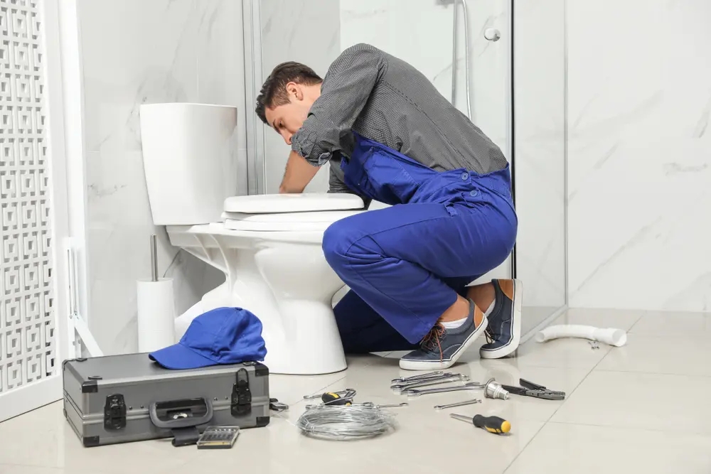 Toilet Installation in Catherine